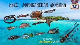 РР3 Квест Африканская дюжина