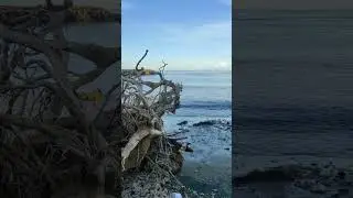 Pantai Carita #shorts #vídeoviral #pantai #pantaianyer #pantaiselatan