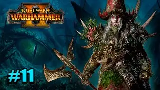 ВСЕ ХОТЯТ ДРАКИ СО МНОЙ ► Total War: WARHAMMER 2 прохождение за Пиратов #11