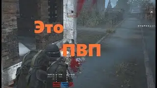 Stalker Online (Stay Out) Это ПВП