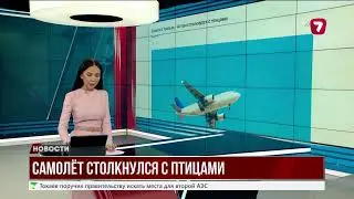 Самолет FlyArystan столкнулся со стаей птиц: повреждения двигателя и фюзеляжа