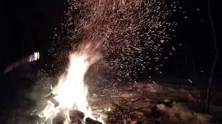 Краматорск-пос. Городещино приехали в красивый лес под названием овраги и отведать элитный шашлык. 😁