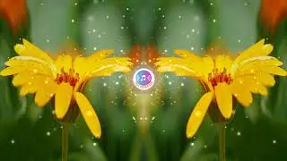 Everything Deep House by Independent · [Free Copyright-safe Music]