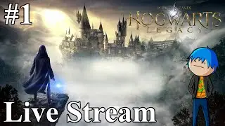 Playing The Wizard Game in Hogwarts Legacy! (Live Stream)