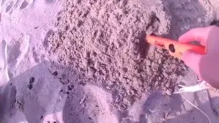 Beach search with a metal detector