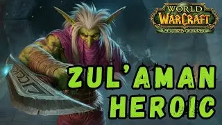 ZulAman heroic - делаем 3 честа! | Чернокнижник | The Burning Crusade 26.02.24