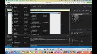 Data Sources window not visible in the VIsual Studio