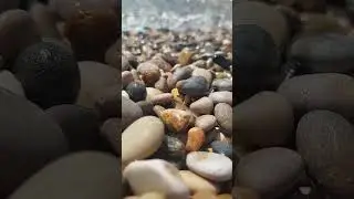 Любимое морюшко