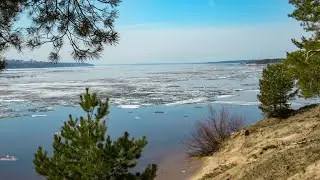 Заволжье. Ледоход. Окрестности санатория 