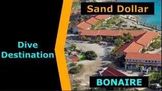 Diving Bonaire, Sand Dollar, Destination Spotlight for Scuba.Digital The #1 Online Dive Show