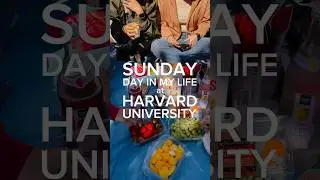SUNDAY AT HARVARD UNIVERSITY 
