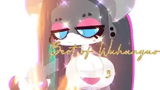 Best of Wuhuaguo 3 (Diives)