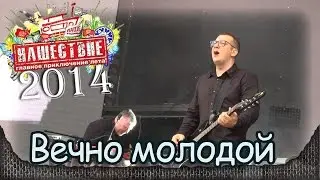 Смысловые галлюцинации - Вечно молодой. Нашествие-2014 (Большое Завидово, 04.07.2014) 11/11