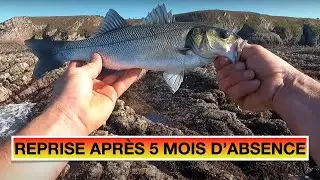 RETOUR À LA PÊCHE AU BAR : Session de surface exceptionnelle après 5 mois d'absence !