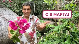 С праздником, дорогие женщины! Поздравление от Максима Шаинского в стихах