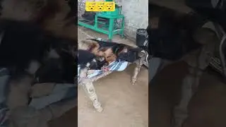 sleeping 😴