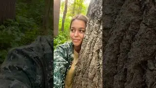 Это правда ?