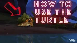 How to Turtle Genshin Impact Guide!