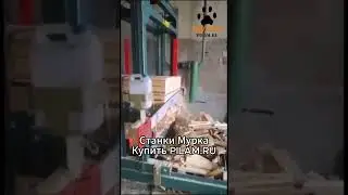 Мурка Станок для торцовки досок AVG ТП-1200  pilam.ru