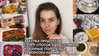 ВЛОГ! ЗАКУПКА ПРОДУКТОВ🛍ЗАМОРОЗКА НА ЗИМУ❄️ КАК ОТСТИРАТЬ КУХОННЫЕ ПОЛОТЕНЦА🧺1 июля 2023 г. VLOGS