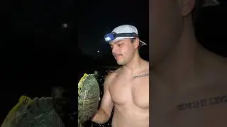 When Texas floods, the animals come out and we go find them🔦🦎🐢🐟🕷️