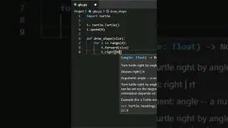 Make A Design Using Python Turtle🐢🐢 | Python Turtle Graphics    