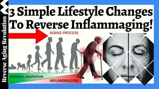 REVERSE Inflammaging : 3 Lifestyle CHANGES You Can Make Today To COUNTER Inflammation Naturally!