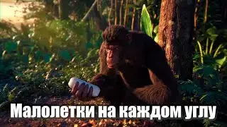 Обезьяна танцует