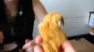La Hora de la Merienda-Puchi opina
