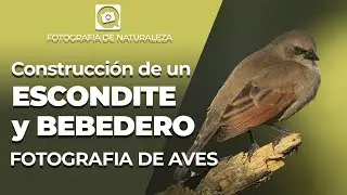 [PASO A PASO] Cómo construir un  BEBEDERO y HIDE para FOTOGRAFIA DE AVES