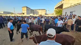 ХАЗАРАСП МОЛ БОЗОРИ НАРХЛАРИ 14 июля 2024Г