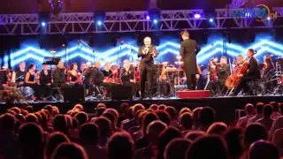 MFM Mielec 2015: Tomasz Stockinger - "Pieśń o małym rycerzu"