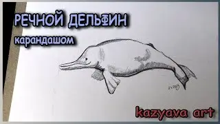 Как нарисовать речного ДЕЛЬФИНА карандашом поэтапно