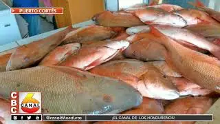 Precio de los mariscos en Puerto Cortés
