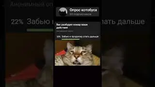 #опрос