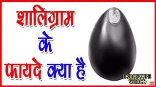 शालिग्राम को घर मे रखने से होते है चमत्कारिक फायदे