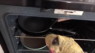 DINOSAUR PUPPET COOKING SOME AIR!