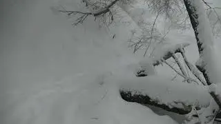 Возле реки Пахра. Снегопад.