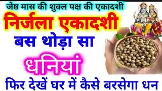 31 मई निर्जला एकादशी थोड़ा सा धनिया चुपके से रख दें यहां सारे काम बनते चले जाएंगे सभी कष्टों से मुक्
