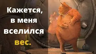 Толстый Кот Жирофей. Когда лишний вес мешает. Это не Прикол.