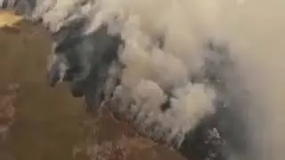 Сильные лесные пожары разных областях. 13.05.2019.