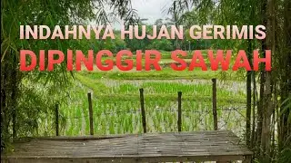 INDAHNYA GERIMIS DIPINGGIR SAWAH, REVIEW MASA LALU