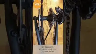 Rear Hub Sound Check Canyon / DT SWISS / 5 Years later #canyonbikes #cyclinglife #roadbike #dtswiss