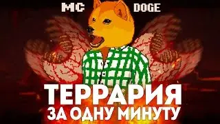 ВСЯ ТЕРРАРИЯ ЗА МИНУТУ // MC DOGE