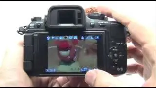 Panasonic G1/GH1: Program Mode