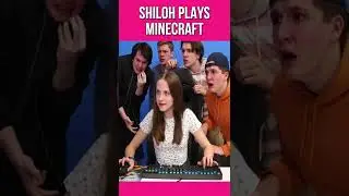 Could you do this in Minecraft?