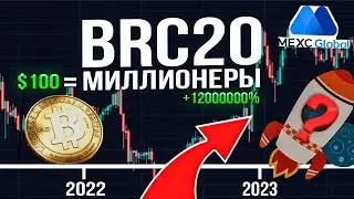 Остановка сети Биткоин:шокирующие проблемы - держатели в истерике 🔥!ТОКЕНЫ BRC20 и листинг шиткоинов