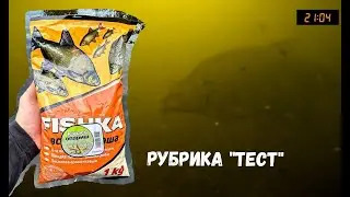 РЕАКЦИЯ РЫБЫ НА ПРИКОРМКУ/ ПРИПЛЫЛИ БОЛЬШИЕ ЛЕЩИ!  Смотреть Всем Рыбакам!!! Подводная Съемка