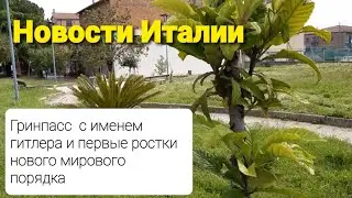 Италия. ГРИНПАССЫ С ИМЕНЕМ ГИТЛЕРА и первые ростки нового мирового порядка.