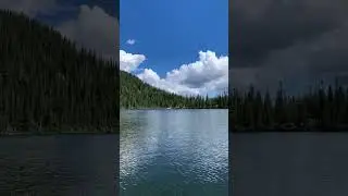 🌳🗻😍
